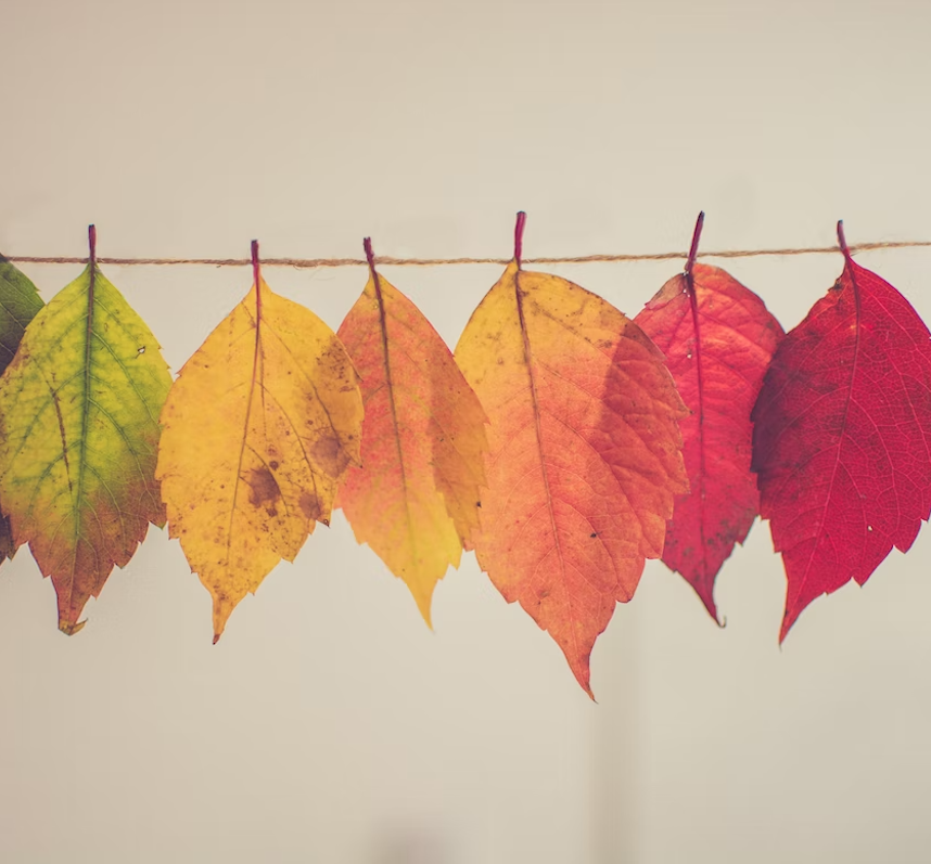 A Data Engineer's Guide to Slowly Changing Dimension